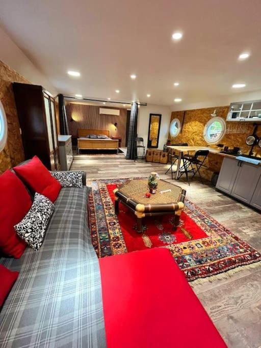 Magnifique Peniche Cosy Et Spacieuse A 툴루즈 외부 사진